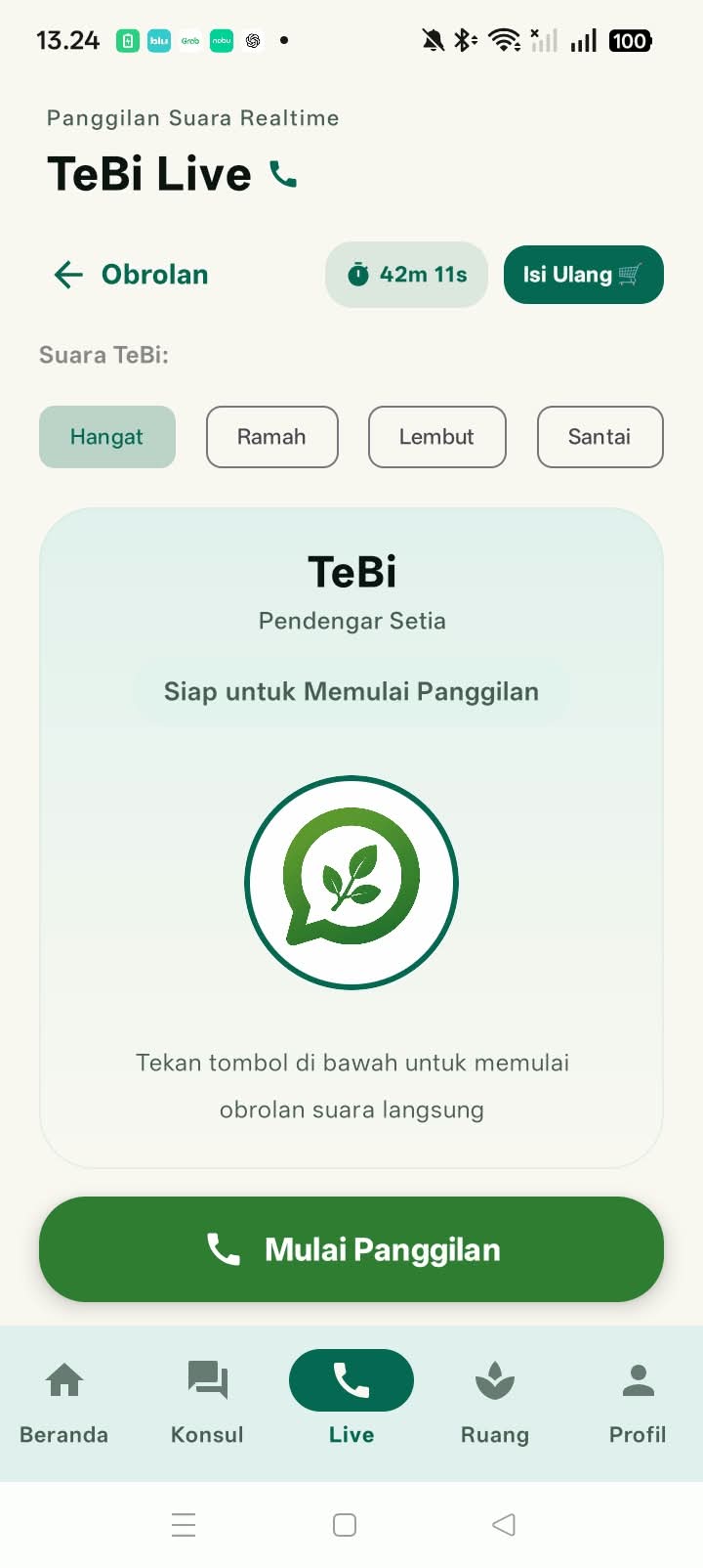 TeBi Live — Panggilan Suara Realtime AI